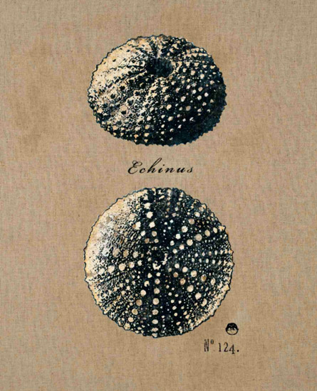 Still Life for Jahrriesnge untitle-lpf00181 Still Life Jahrriesnge for untitle-lpf00181