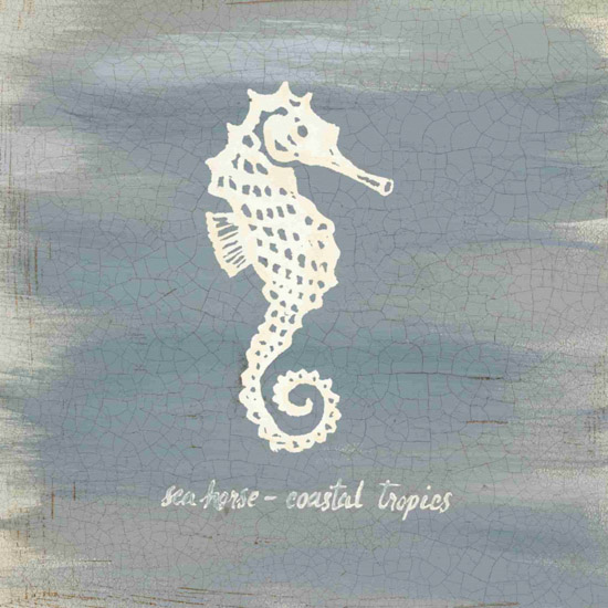Still Life for Jahrriesnge seahorse-lpf00183 Still Life Jahrriesnge for seahorse-lpf00183
