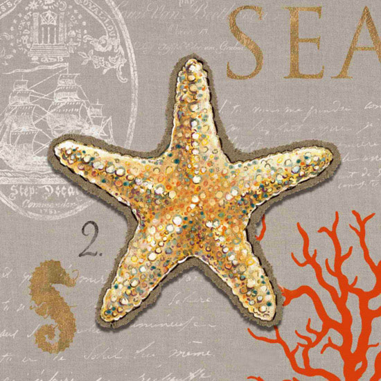 Still Life Jahrriesnge  for starfish-lpf00188 