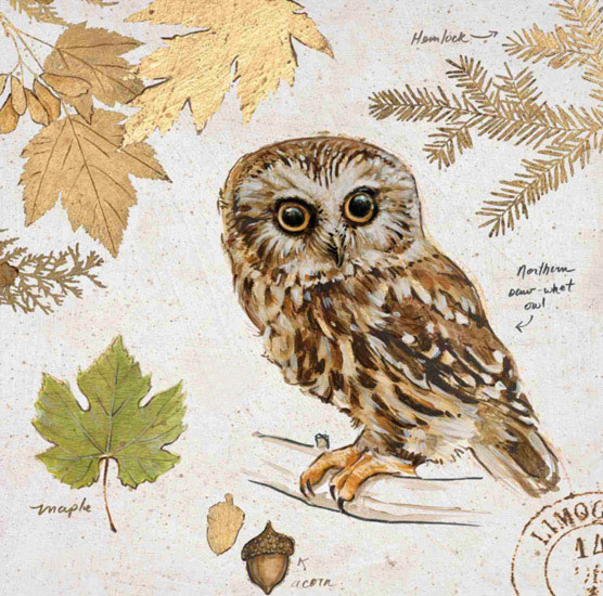 Still Life for Jahrriesnge owl-lpf00190 Still Life Jahrriesnge for owl-lpf00190