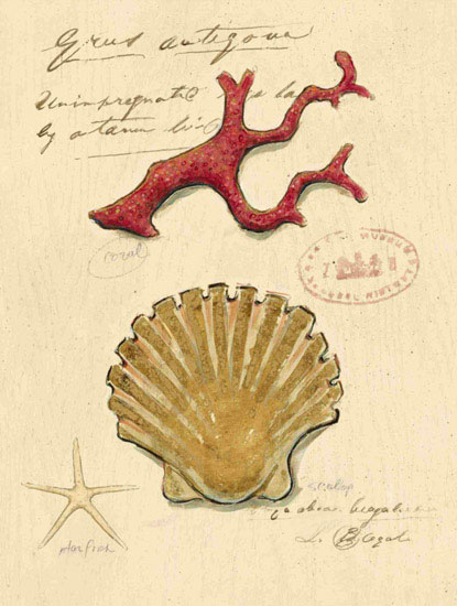 Still Life for Jahrriesnge shell-lpf00196 Still Life Jahrriesnge for shell-lpf00196