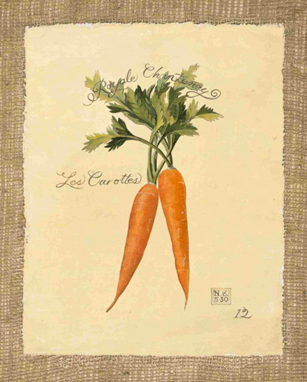 Still Life for Jahrriesnge carrot-lpf00284 Still Life Jahrriesnge for carrot-lpf00284