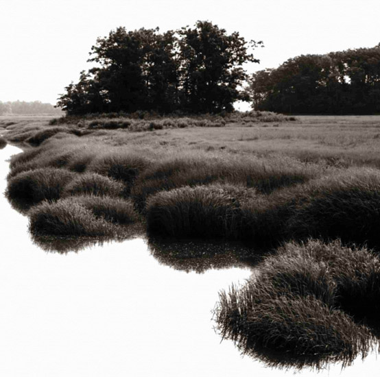 Landscape for JAHRRIESNGE untitle-lpf00775 Landscape JAHRRIESNGE for untitle-lpf00775