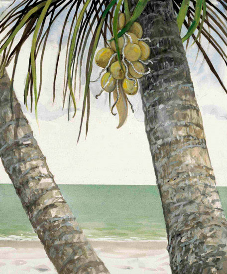 Landscape for JAHRRIESNGE coconut-tree-lpf00845 Landscape JAHRRIESNGE for coconut-tree-lpf00845