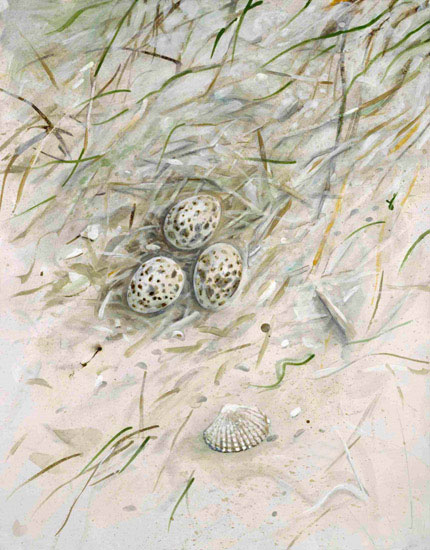 Landscape JAHRRIESNGE  for shell-lpf00861 