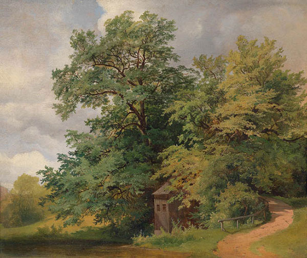 Landscape for JAHRRIESNGE tree-lpf01409 Landscape JAHRRIESNGE for tree-lpf01409