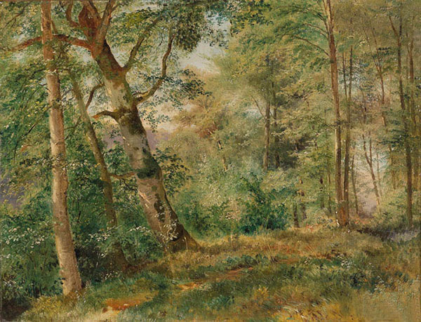 Landscape for JAHRRIESNGE tree-lpf01471 Landscape JAHRRIESNGE for tree-lpf01471