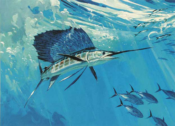 Animals Jahrriesnge  for fish-lpf02519 