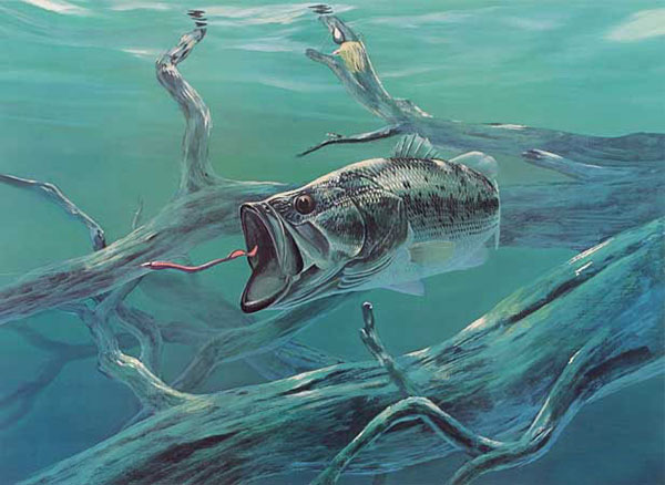 Animals Jahrriesnge  for fish-lpf02522 