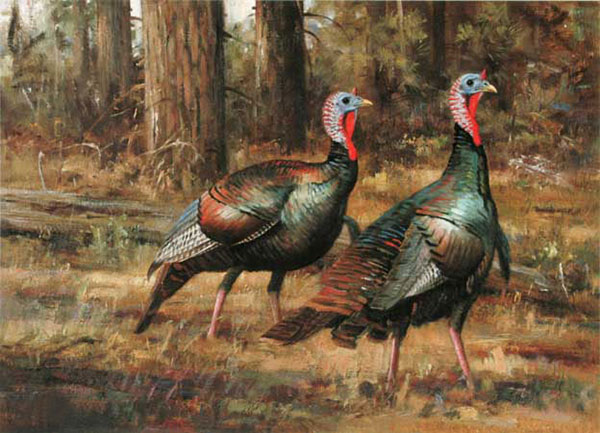 Animals Jahrriesnge  for Turkey-lpf02526 