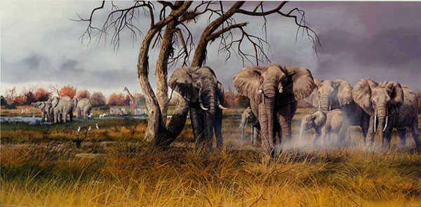 Animals Jahrriesnge  for elephant-lpf02530 