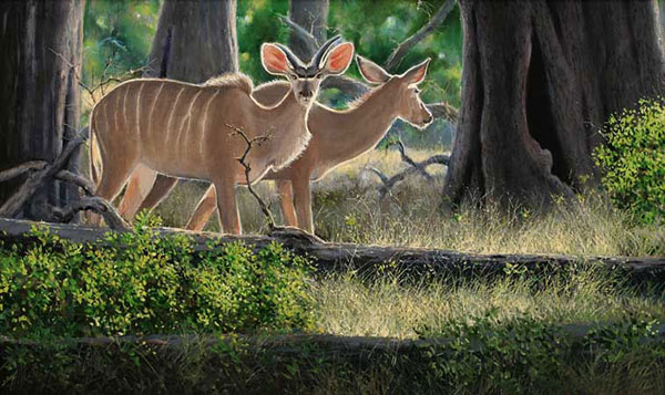 Animals for Jahrriesnge antelope-lpf02532 Animals Jahrriesnge for antelope-lpf02532