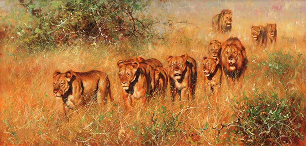 Animals Jahrriesnge  for lion-lpf02536 