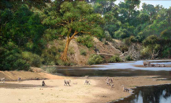 Animals for Jahrriesnge monkey-lpf02564 Animals Jahrriesnge for monkey-lpf02564