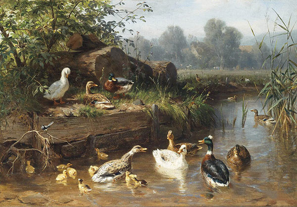 Animals Jahrriesnge  for duck-lpf02588 