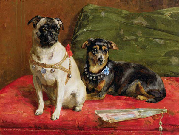 Animals for Jahrriesnge dog-lpf02631 Animals Jahrriesnge for dog-lpf02631