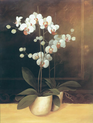 Floral for JAHRRIESNGE flower lpf04482 Floral JAHRRIESNGE for flower lpf04482