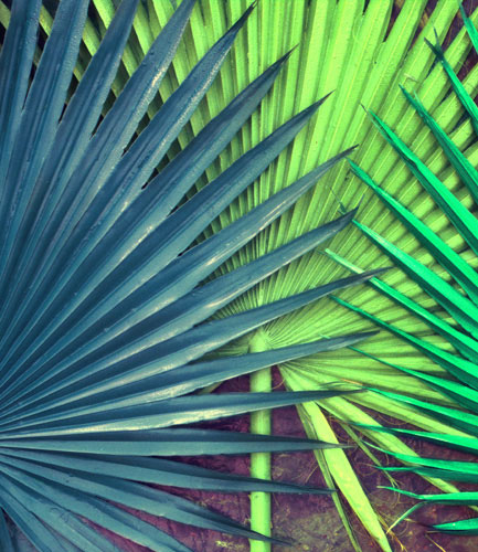 Floral for JAHRRIESNGE pu kui lpf04590 Floral JAHRRIESNGE for pu kui lpf04590