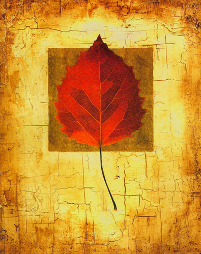 Floral for JAHRRIESNGE leaf lpf04635 Floral JAHRRIESNGE for leaf lpf04635