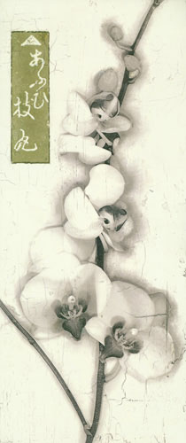 Floral for Jahrriesnge flowers lpf04654 Floral Jahrriesnge for flowers lpf04654