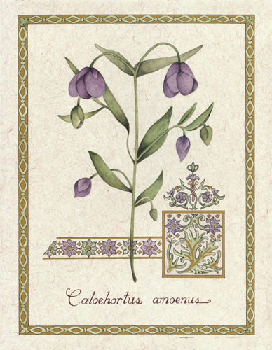 Floral for Jahrriesnge flower lpf04737 Floral Jahrriesnge for flower lpf04737