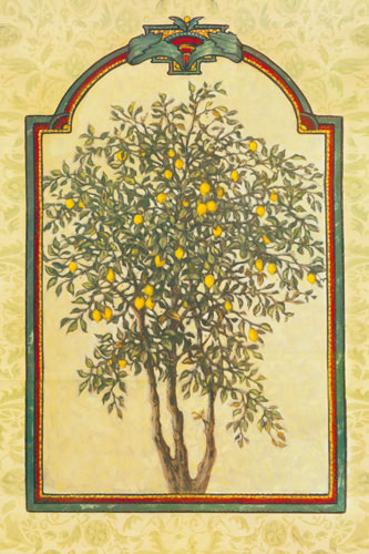 Floral for Jahrriesnge flowers lpf04752 Floral Jahrriesnge for flowers lpf04752