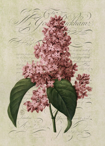 Floral for JAHRRIESNGE flowers lpf04757 Floral JAHRRIESNGE for flowers lpf04757