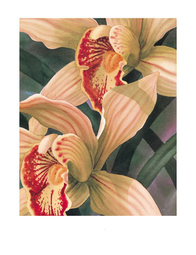 Floral for JAHRRIESNGE flowers lpf04816 Floral JAHRRIESNGE for flowers lpf04816