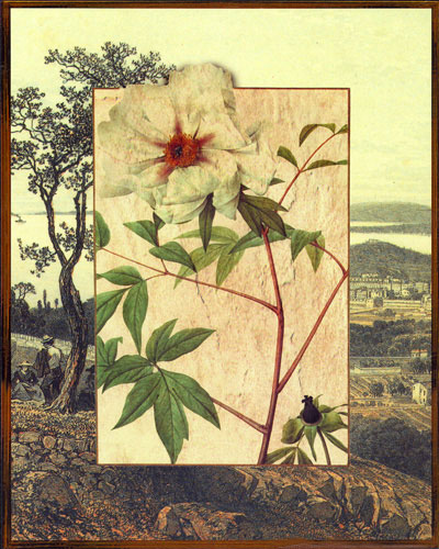 Floral JAHRRIESNGE  for flowers lpf04827 