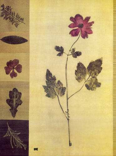 Floral for JAHRRIESNGE flowers lpf04864 Floral JAHRRIESNGE for flowers lpf04864