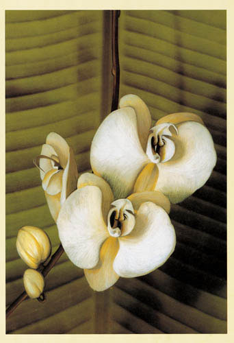 Floral for Jahrriesnge flowers lpf04907 Floral Jahrriesnge for flowers lpf04907