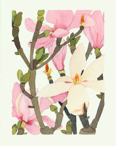 Floral for JAHRRIESNGE flowers lpf04909 Floral JAHRRIESNGE for flowers lpf04909