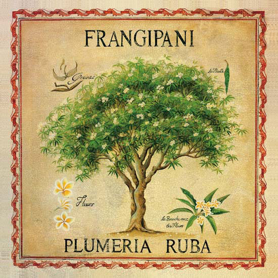 Floral for JAHRRIESNGE flowers lpf04957 Floral JAHRRIESNGE for flowers lpf04957