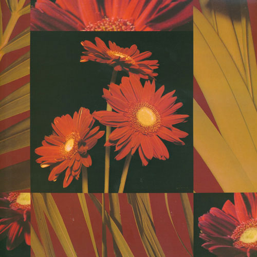 Floral JAHRRIESNGE  for leaves lpf05008 