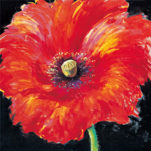 Floral for JAHRRIESNGE flower lpf05033 Floral JAHRRIESNGE for flower lpf05033