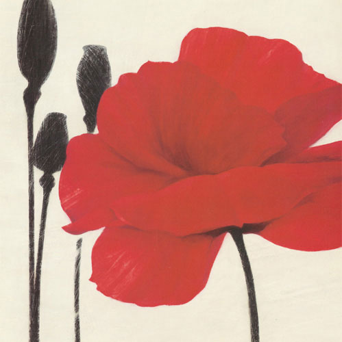 Floral for Jahrriesnge flowers lpf05172 Floral Jahrriesnge for flowers lpf05172