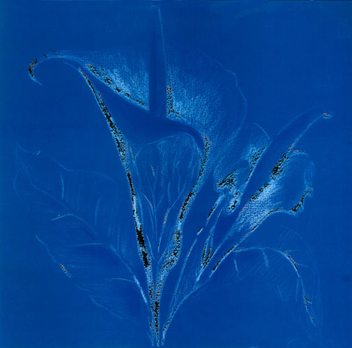 Floral for Jahrriesnge flowers lpf05272 Floral Jahrriesnge for flowers lpf05272