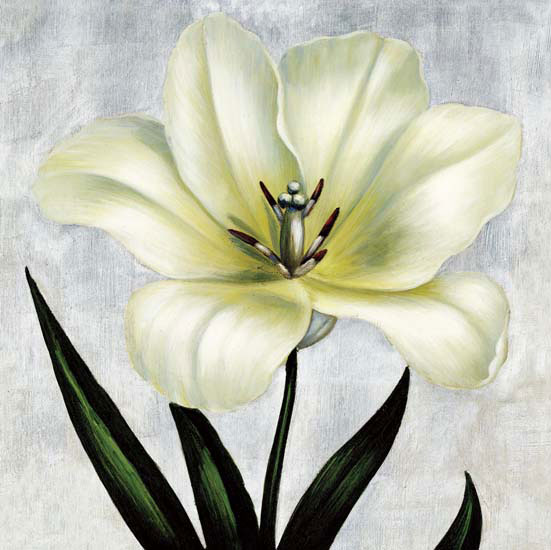 Floral for JAHRRIESNGE flowers lpf05391 Floral JAHRRIESNGE for flowers lpf05391