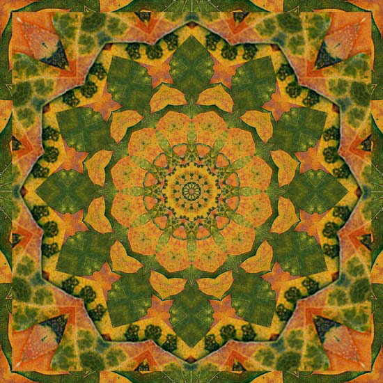 Abstract for Jahrriesnge colorful-lpf06363 Abstract Jahrriesnge for colorful-lpf06363