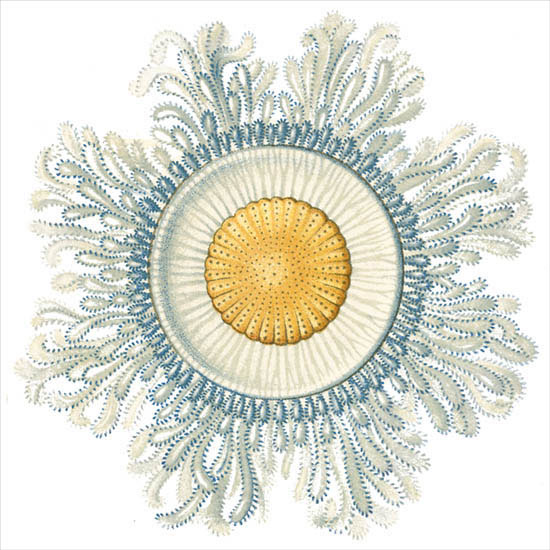 Abstract for Jahrriesnge colorful-lpf06395 Abstract Jahrriesnge for colorful-lpf06395