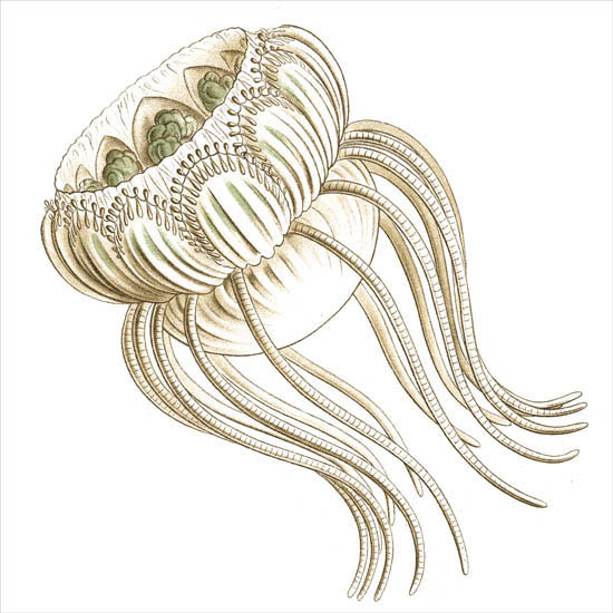 Abstract for Jahrriesnge colorful-lpf06398 Abstract Jahrriesnge for colorful-lpf06398