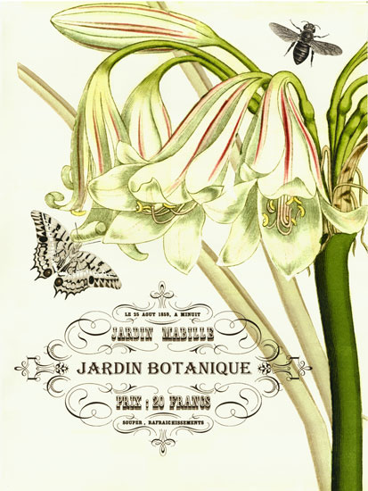 Floral JAHRRIESNGE  for flowers-lpf06635 