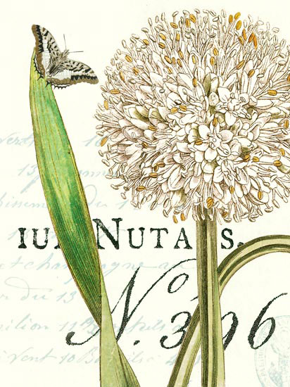 Floral JAHRRIESNGE  for flowers-lpf06637 