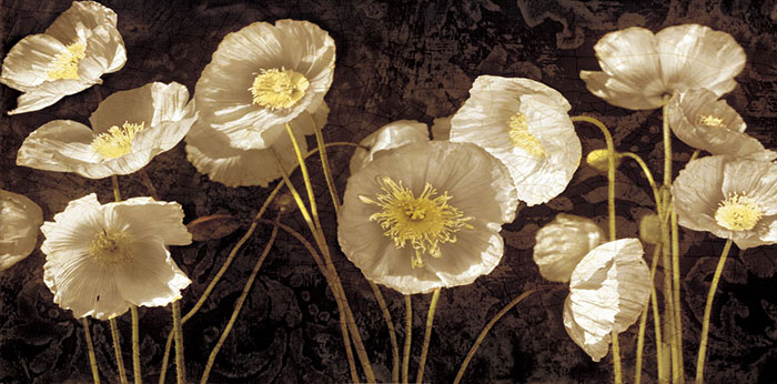 Floral JAHRRIESNGE  for flowers-lpf06750 