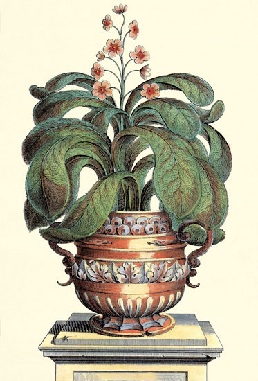 Floral for JAHRRIESNGE flowers-lpf06775 Floral JAHRRIESNGE for flowers-lpf06775