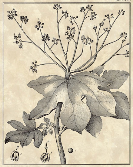 Floral for JAHRRIESNGE flowers-lpf06799 Floral JAHRRIESNGE for flowers-lpf06799