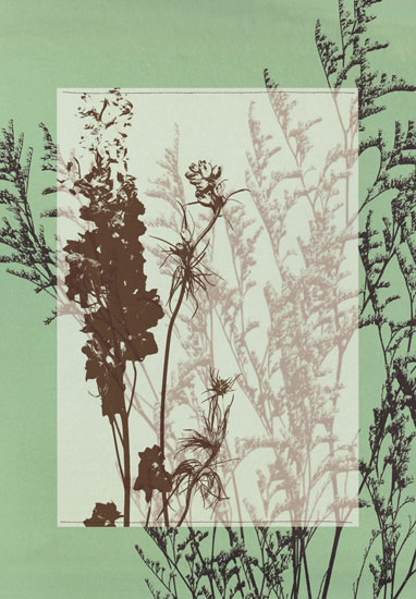 Floral for JAHRRIESNGE flowers-lpf06813 Floral JAHRRIESNGE for flowers-lpf06813