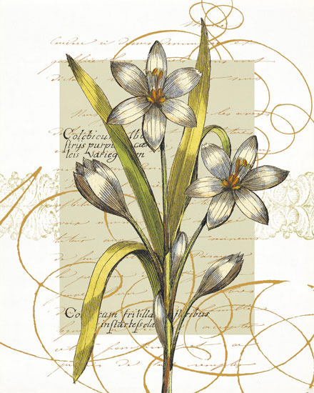 Floral for JAHRRIESNGE flowers-lpf06823 Floral JAHRRIESNGE for flowers-lpf06823