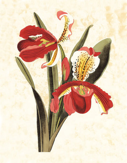 Floral for JAHRRIESNGE flowers-lpf06829 Floral JAHRRIESNGE for flowers-lpf06829