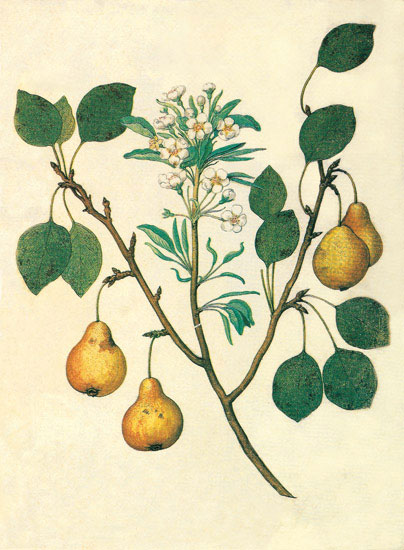 Floral for JAHRRIESNGE flowers-lpf06847 Floral JAHRRIESNGE for flowers-lpf06847